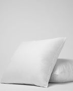 Oreiller en plumes | Paulin